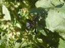 dscn1279.jpg