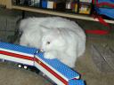 dscn1299.jpg