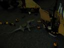 dscn2785.jpg