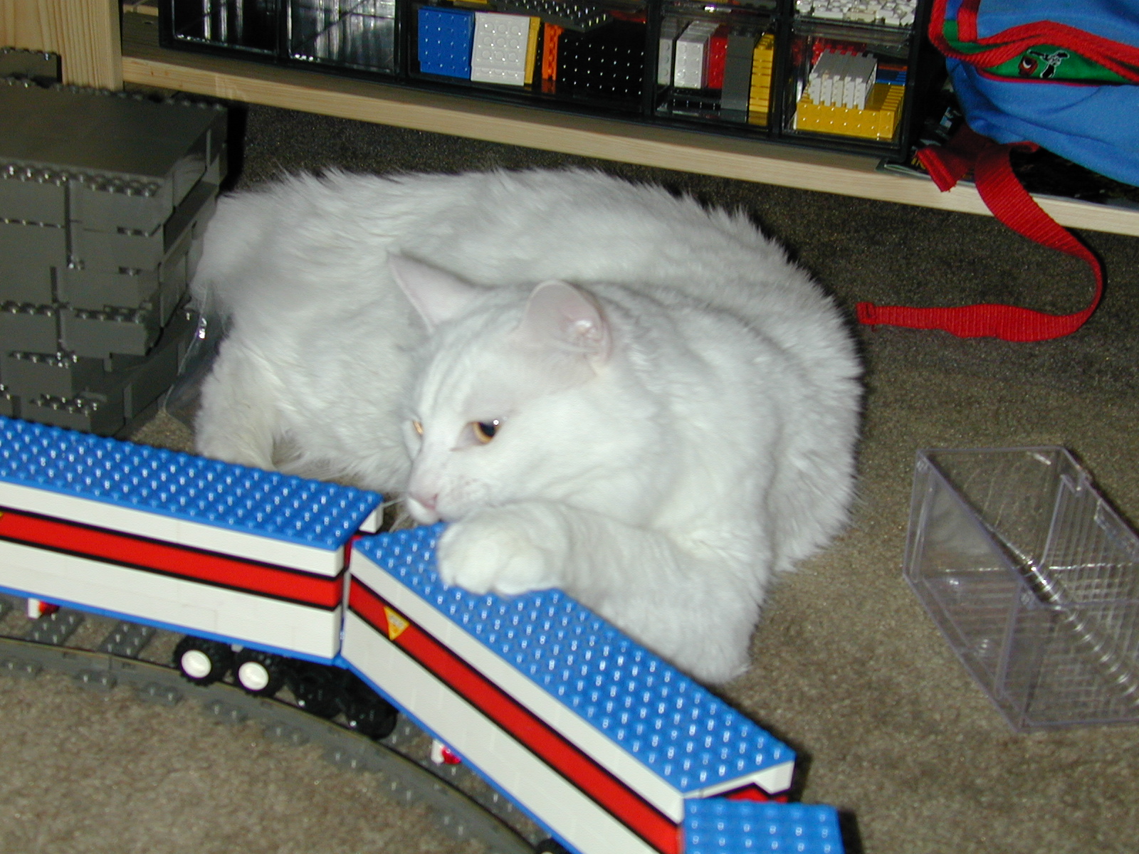 dscn1299.jpg