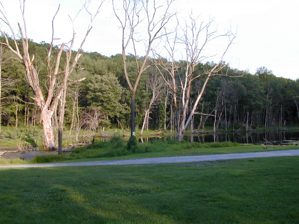 dscn1310.jpg