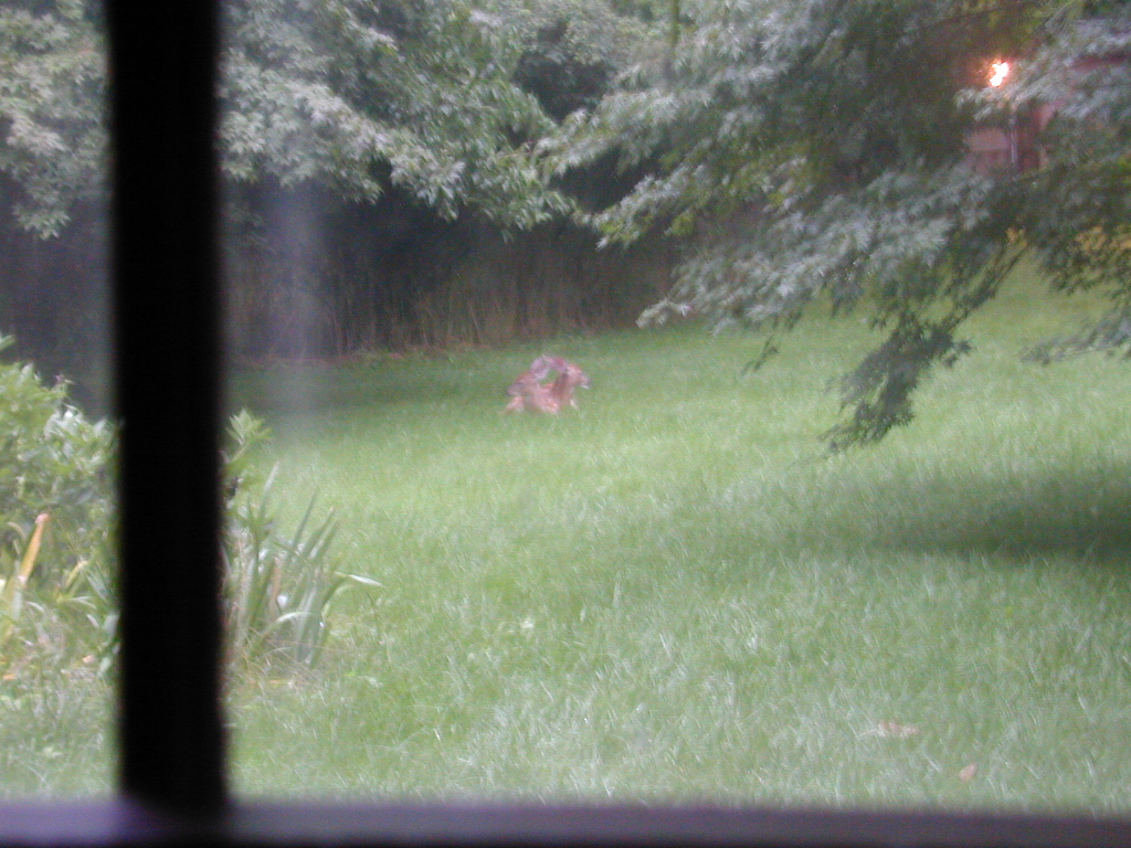 dscn1316.jpg