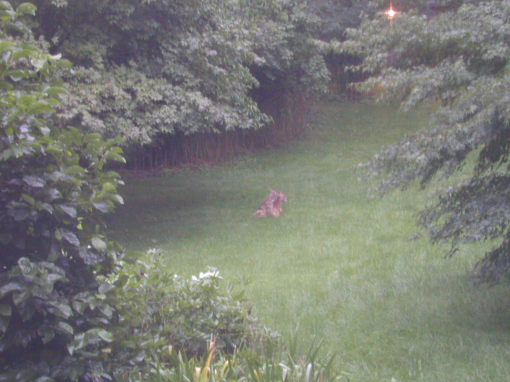 dscn1317.jpg