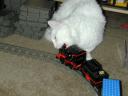 dscn1298.jpg