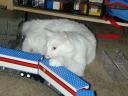 dscn1299.jpg