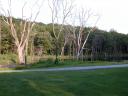 dscn1310.jpg