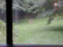 dscn1316.jpg