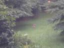 dscn1317.jpg