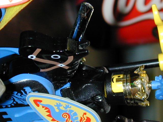 dscn2043.jpg