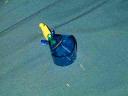 dscn0501.jpg