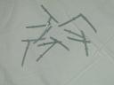 dscn0542.jpg