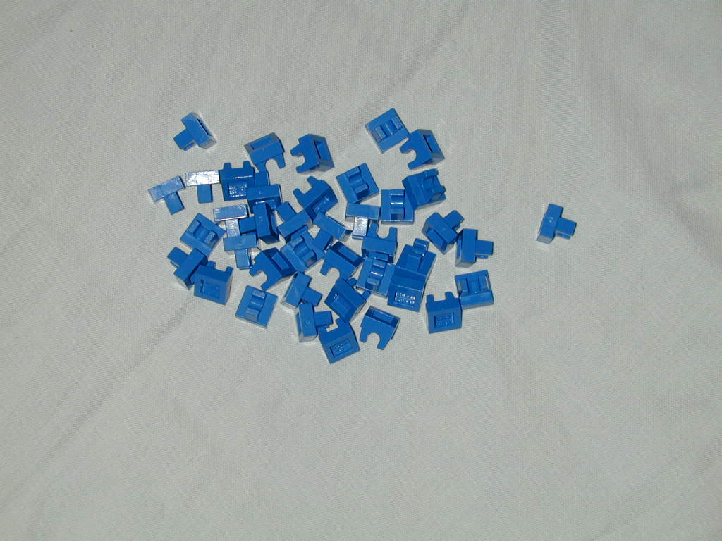 dscn2919.jpg