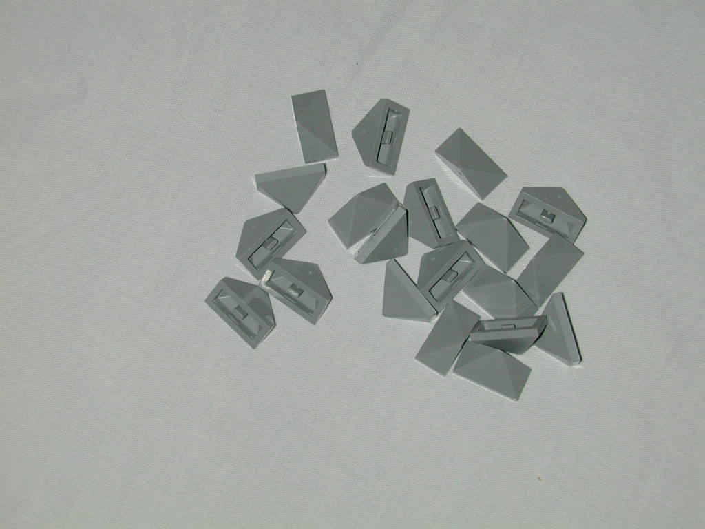dscn2923.jpg