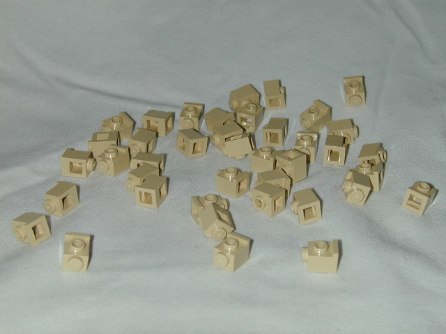 dscn1855.jpg