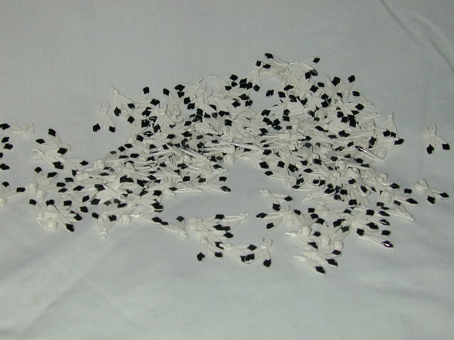 dscn1873.jpg