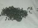 dscn1724.jpg