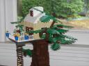treehouse02.jpg