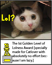 award_copy.png