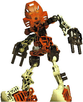 toa-hewkii.jpg