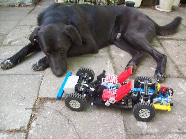 100_4092.jpg