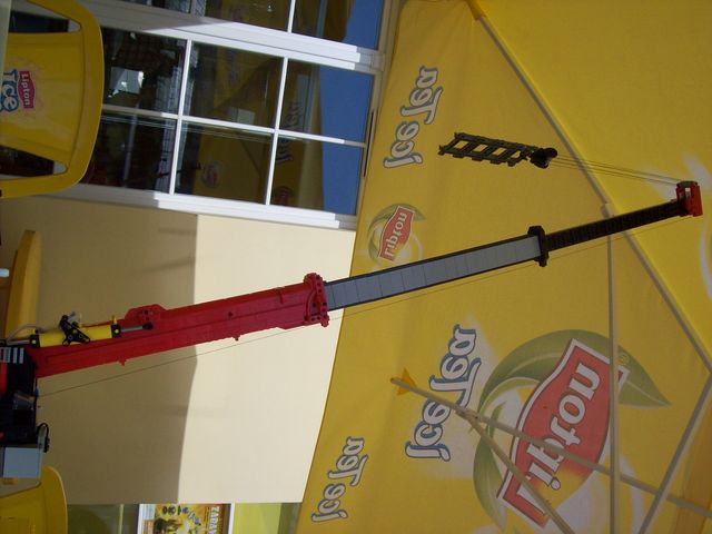 image_003.jpg