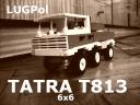 T813TP