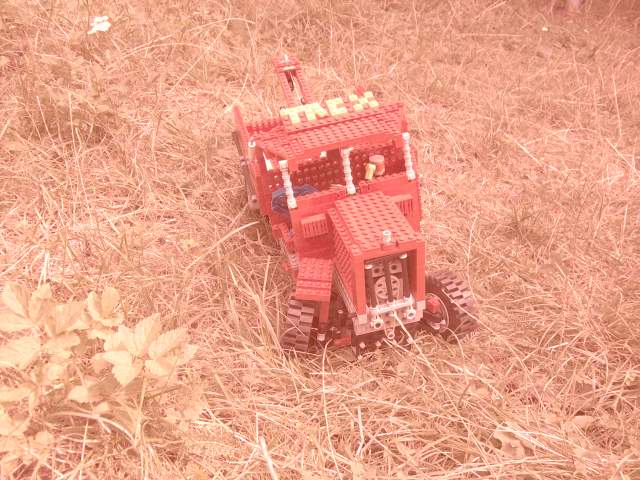 100_6275.jpg