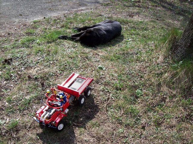 100_2944.jpg
