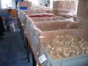 2012-06-27_18.00.03.jpg