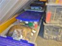 storage_20_sets.jpg