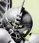 axonnblink.gif
