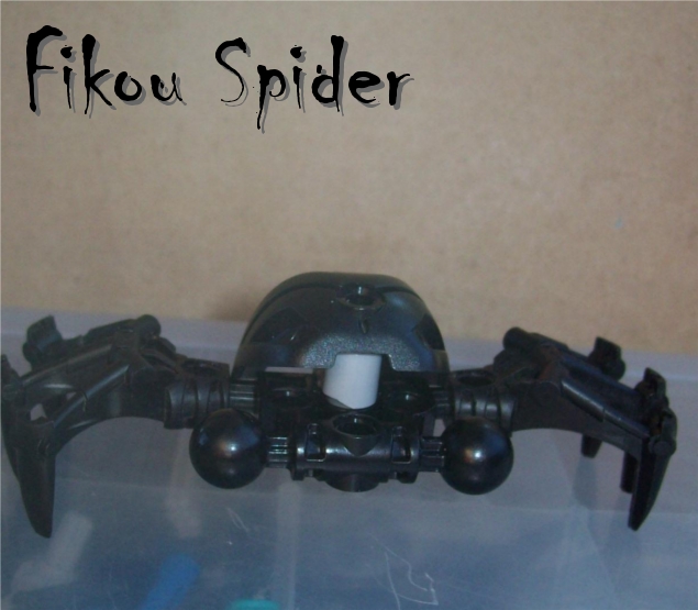 fikuospider.jpg