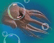 squidywuidy.gif