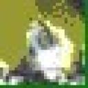nhmovie.jpg