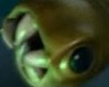 avsquid.jpg
