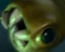 avsquid.jpg