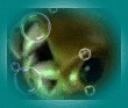 oie_bubbles.gif