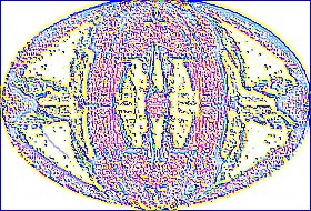 guess.jpg