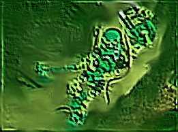 lewa.jpg