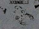 88000880008guess.jpg