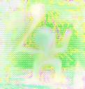 guessthisnow2.jpg