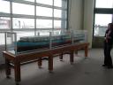 p1010004.jpg