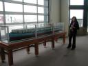 p1010005.jpg