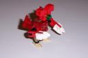 100_0066.jpg
