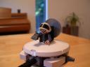 dscn4826.jpg
