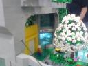dsc00077.jpg