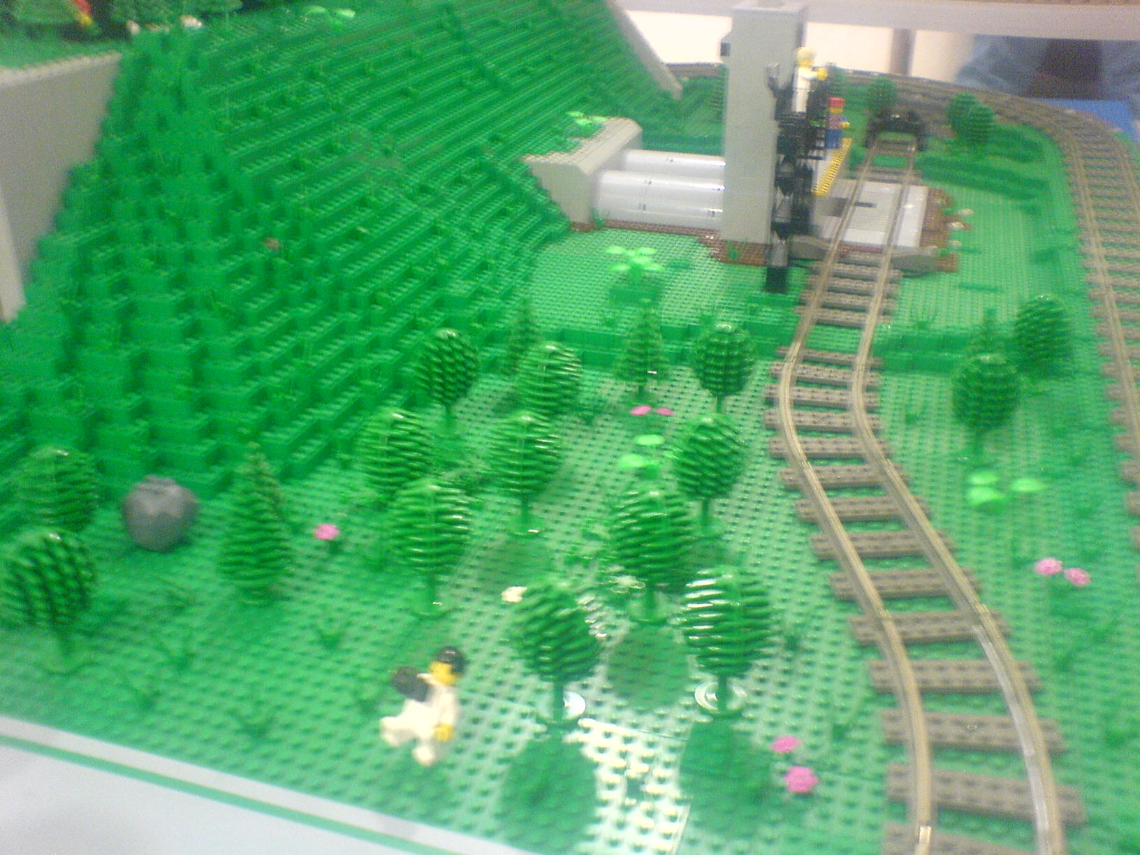 dsc00050.jpg