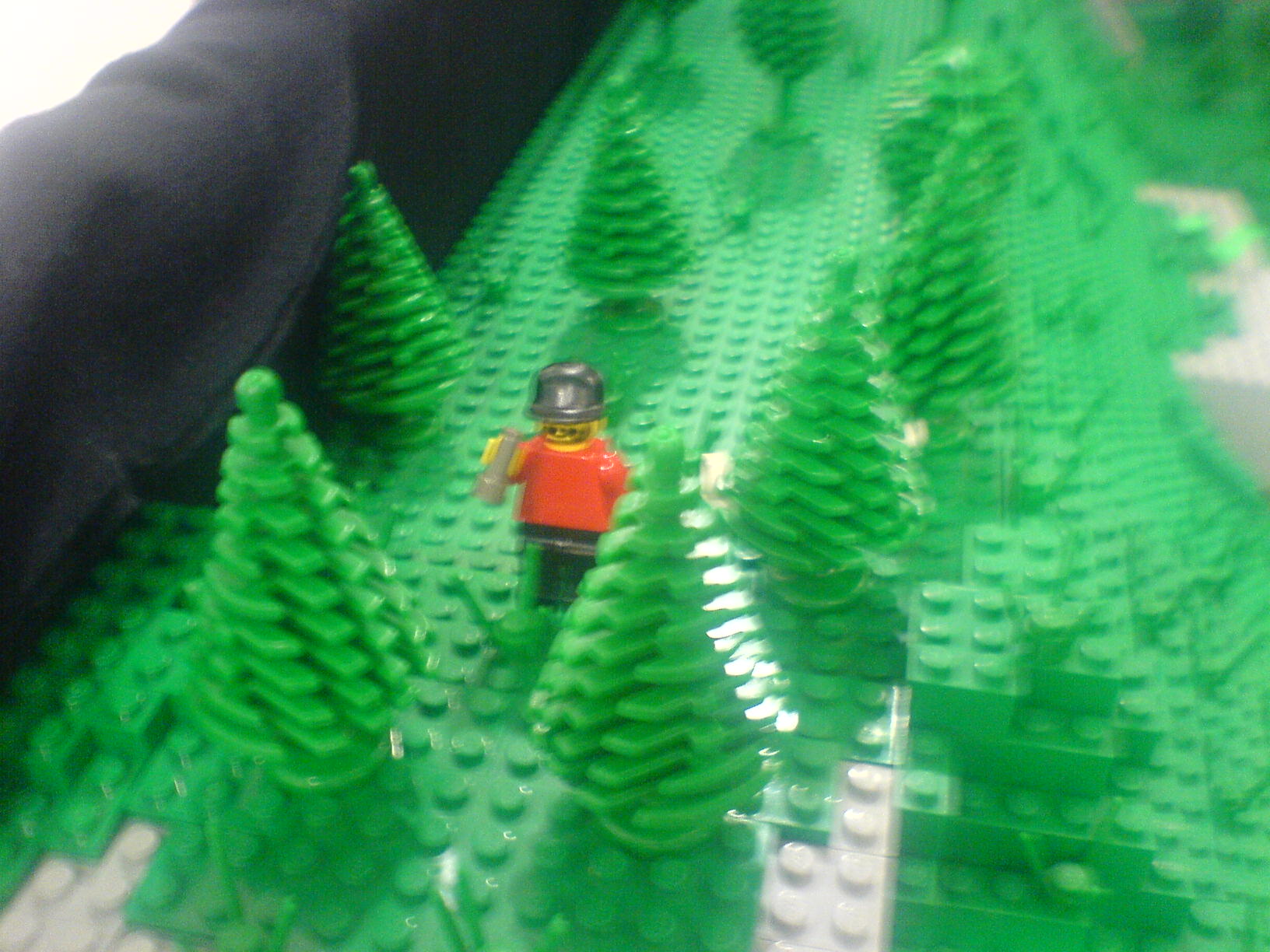 dsc00051.jpg