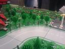 dsc00005.jpg