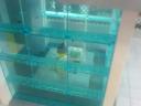 dsc00054.jpg